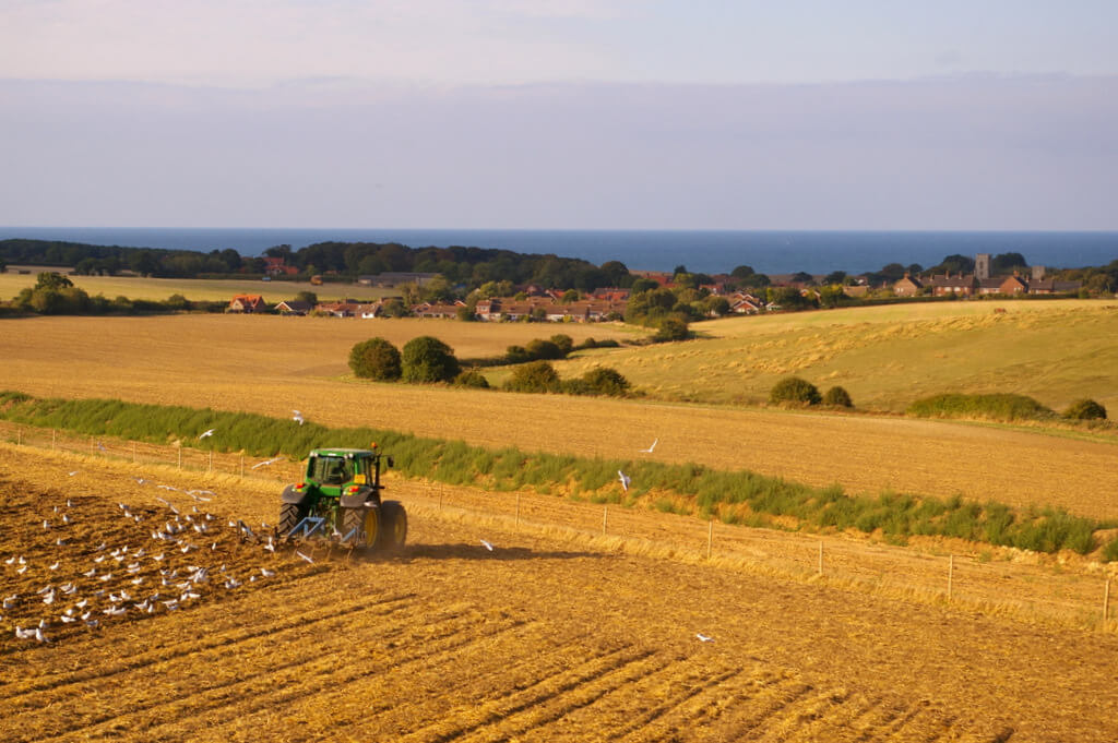 Free Webinar: The Agricultural Transition Period and BPS ...